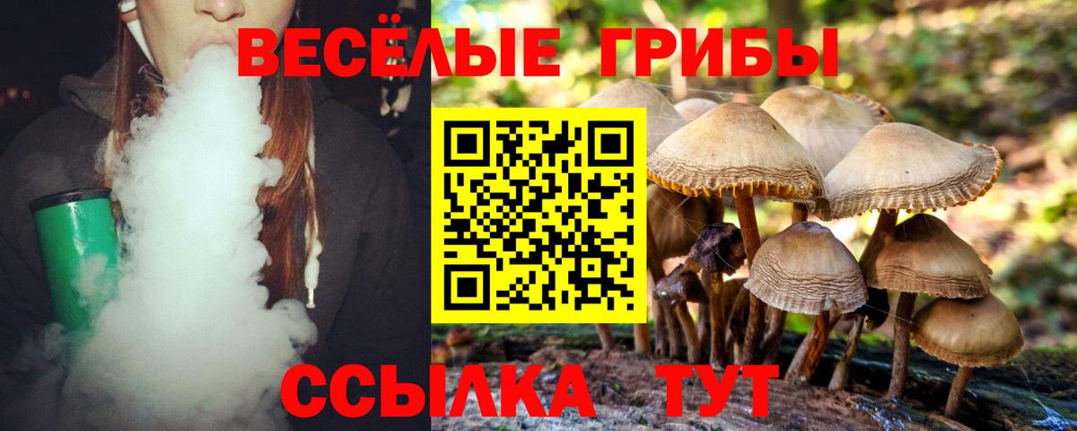 Знаменск  Псилоцибиновые грибы MAGIC MUSHROOMS  Вход с VPN 