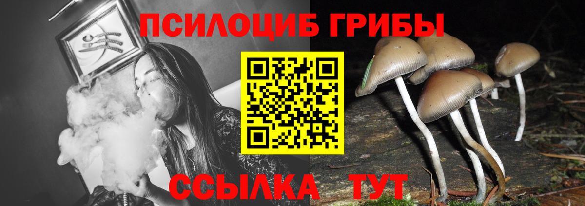 Псилоцибиновые грибы MAGIC MUSHROOMS Знаменск